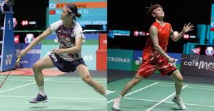 宠物能陪伴 宠物能陪伴