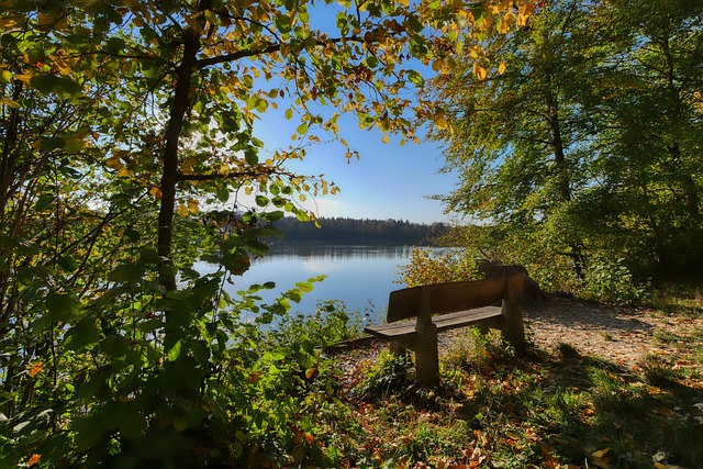 正在试图追 正在试图追