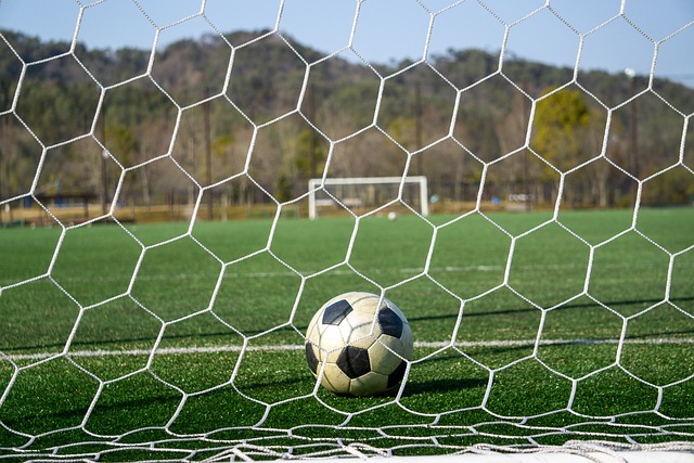 都会对整体 都会对整体