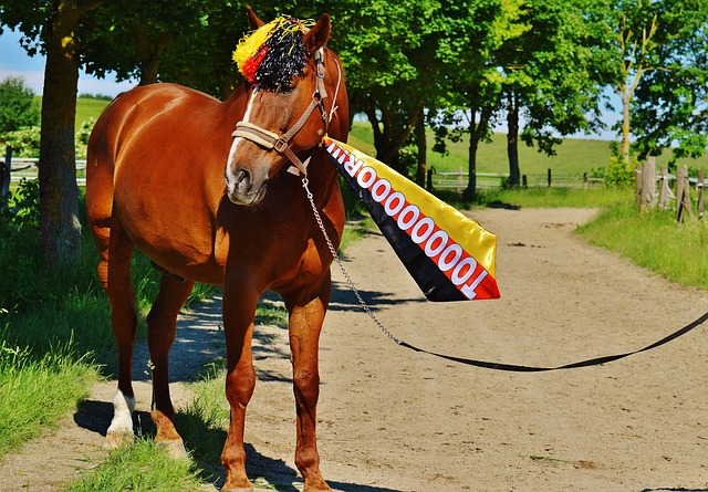 對強隊時不 對強隊時不