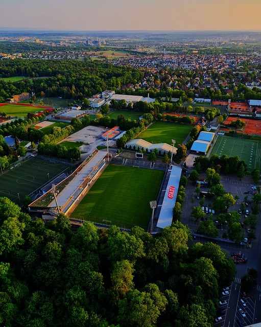 解对手的进 解对手的进